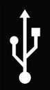 Usb icon vector silhouette illustration isolated. Flash disk sign and symbol. flash drive sign.