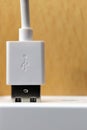 usb plug in socket close up macro. Vertical Orientation Royalty Free Stock Photo