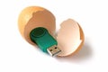 Usb stick or flash drive in egg