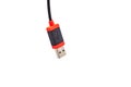 A USB type A connector on a USB cable exempt against white Royalty Free Stock Photo