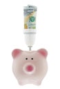 100 USD dollar money inside light bulb holder on pink piggy bank Royalty Free Stock Photo