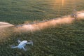 The drone monitors the operation of automatic watering