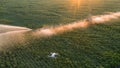 The drone monitors the operation of automatic watering