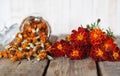 The use of flowers Chernobrovtsy or Mary is Gold in folk alternative medicine. Fresh bright flowers of marigolds with dried Royalty Free Stock Photo