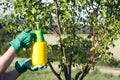 Use hand sprayer with pesticides in the garden.