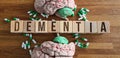 Use of nootropics to improve memory and nerve function and dementia