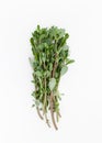 Fresh purslane in the beam on a white background