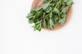 The purslane on a plate on a white table