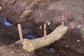 The use of straw wattles straw worms, bio-logs, straw noodles. Land drainage works