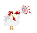 White rooster screaming in a megaphone. Humorous isolated illustration