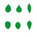 Simple leaves set