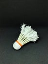 Used badminton shuttlecocks are made of feathers on a black background, shuttlecocks are made of goose feathers arranged in a cone Royalty Free Stock Photo