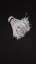 Used badminton shuttlecocks are made of feathers on a black background, shuttlecocks are made of goose feathers arranged in a cone Royalty Free Stock Photo