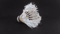 Used badminton shuttlecocks are made of feathers on a black background, shuttlecocks are made of goose feathers arranged in a cone Royalty Free Stock Photo