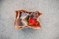 Used bags from food purchased at a fast food restaurant McDonald`s . Environmental pollution. Moscow, Russia, July 2020