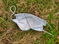 A used, blue surgical mask used for COVID-19 PPE protection, discarded as litter by a rural countryside hedgerow Royalty Free Stock Photo