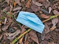 A used, blue surgical mask used for COVID-19 PPE protection, discarded as litter by a rural countryside hedgerow Royalty Free Stock Photo