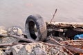 Used car tire left in nature. Old used car tyre left tossed by cost of water. Royalty Free Stock Photo