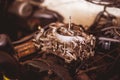Used carburetor from the fuel supply system of gasoline engine Royalty Free Stock Photo