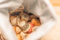 Used coffee capsules in recycle bag