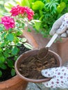 Used coffee grounds as a compost. Great fertilizer for plants and vegetables..