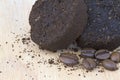 Used coffee grounds after espresso machine and coffee beans Royalty Free Stock Photo