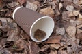 Used disposable paper coffee cup on the ground in the city park. Environmental pollution problem Royalty Free Stock Photo