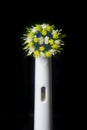 Used electric toothbrush head close-up on black background. Royalty Free Stock Photo