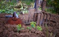 Used gardening tools on garden bed