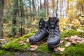 Used hiking boots in the forest Royalty Free Stock Photo