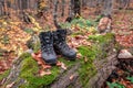 Used hiking boots in the wet forest Royalty Free Stock Photo