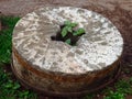 A used millstone from pioneer days Royalty Free Stock Photo