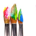 Used paint brushes of different colors, on a white background Royalty Free Stock Photo