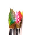Used paint brushes of different colors, on a white background Royalty Free Stock Photo