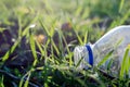 Used plastic bottle lies in green grass land pollution Royalty Free Stock Photo