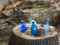 Used plastic bottles in a hollow tree stump Royalty Free Stock Photo