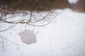 Used respirator hanging on branches in a snowy city park.