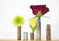 Trio of Flowers in Rusted Bullet Casings on White Background Royalty Free Stock Photo