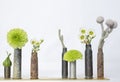 Row of Different Shaped Plants and Flowers in Rusted Bullet Casing Vases on White Background Royalty Free Stock Photo