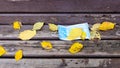 Used sanitary face mask and yellow leaves on bench