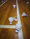 Used shuttlecocks on badminton court