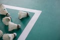 Used shuttlecocks inside the edge of badminton courts Royalty Free Stock Photo