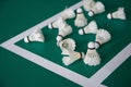 Used shuttlecocks inside the edge of badminton courts Royalty Free Stock Photo