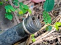 used syrup bottles embedded in the ground with green grass in between the bottles