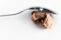 Used Tea Bag and Spoon Royalty Free Stock Photo