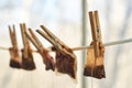 Used tea bags hanging on the clothesline Royalty Free Stock Photo