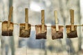 Used tea bags hanging on the clothesline Royalty Free Stock Photo