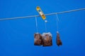 Used Tea Bags In The Sun Royalty Free Stock Photo