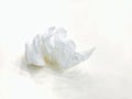 Used tissues trash, bin rolls of toilet paper used, Dirty paper wipe ball on white background.