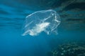 Used transparent plastic bag slowly drifting underwater over coral reef in the sun lights. Plastic debris underwater. Plastic